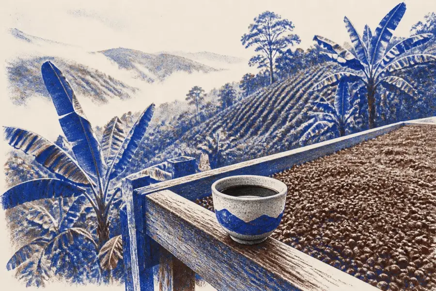 A ceramic cup of coffee on a wooden drying-bed rail beside red coffee cherries, with green mountain slopes of coffee rows behind